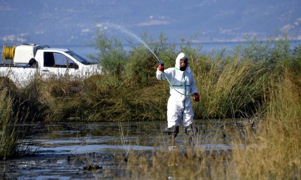 Θεσσαλονίκη: Ξεκινούν οι εναέριοι ψεκασμοί για τα κουνούπια